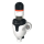 JUDO Hauswasserstation Jpm-Qc 1" 100 Ym V2021, 8165031